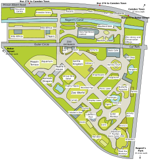 Map of London Zoo.