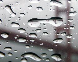 Inverted images of the Golden Gate Bridge refracted through raindrops