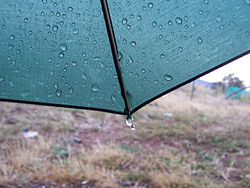 Rain on an umbrella from passing showers