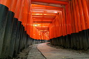 Shinto torii at Fushimi Inari-taisha, Kyoto.