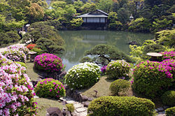 A Japanese garden