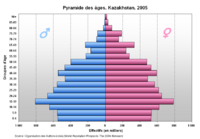 Population pyramid, 2005