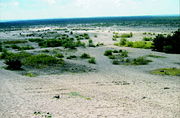 Błędów Desert, the only desert in Poland