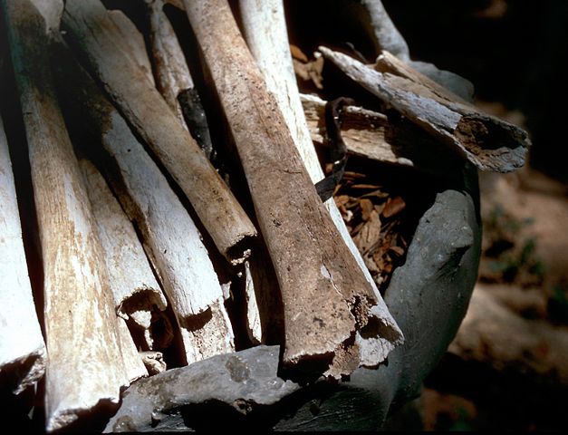 Image:Killing fields bones.jpg