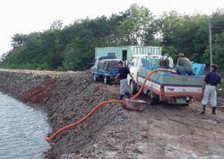 Farmers transferring postlarvae from the tanks on the truck to a growout pond.