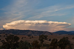 A typical anvil shaped Cumulonimbus incus