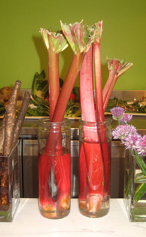 Image:Rhubarb07.JPG