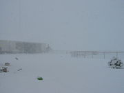 Record breaking snowfall March 2008 at Aubrey, Texas