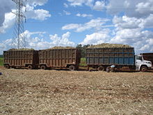 Sugarcane mechanical harvest in Jaboticabal, S�o Paulo state, Brazil.