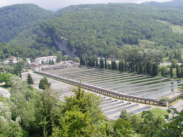 Image:Forel farm Sochi.jpg