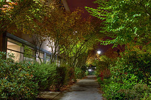 Photo of Microsoft's RedWest campus.