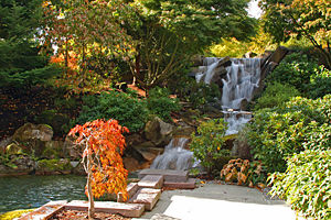 Landscaping at Microsoft's RedWest campus