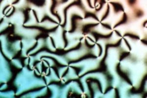 Schlieren texture of Liquid Crystal nematic phase