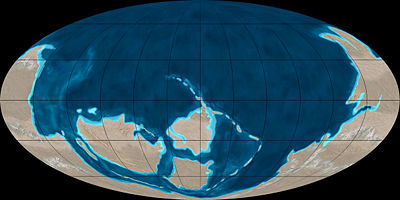 Continental distribution in the Cambrian period