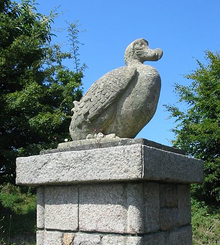 Image:Dodo, Jersey Zoo.jpg