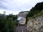 View west from Shanklin Chine