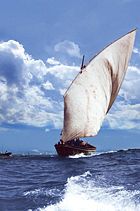 The 'Lancha Poveira', a boat from P�voa de Varzim, Portugal.