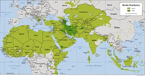 Map showing distribution of Shia and Sunni Muslims in Africa, Asia and Europe.