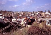 Photograph taken during the 1965 Aedes aegypti eradication program in Miami, Florida