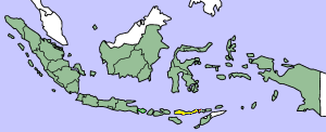 �����Flores is the island highlighted in yellow. The territory of Indonesia as a whole is in green.