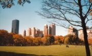 Central Park, New York, the most visited city park in the United States