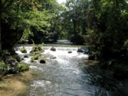 Englischer Garten in Munich, Germany