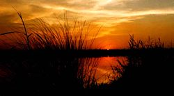 The Yamuna River lies to the east of New Delhi.