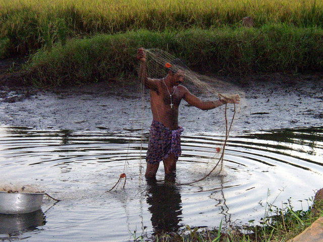 Image:Fischer backwaters.JPG