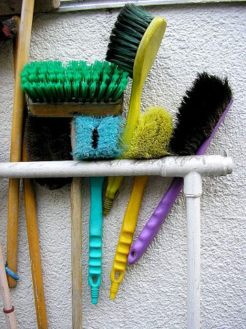 Image:Cleaning brushes.jpg