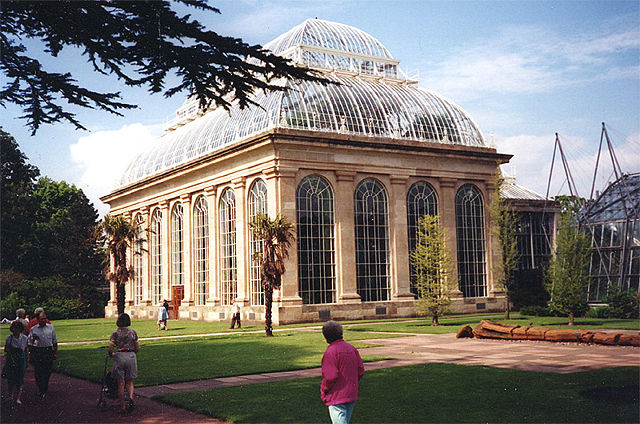 Image:Palmhouse.jpg