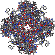 All-atom figure of the open potassium channel, with the potassium ion shown in purple in the middle.  When the channel is closed, the passage is blocked.