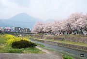 Most riverbanks in Japan are used as places for playing, recreation and parties