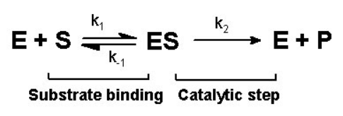 Image:Mechanism plus rates.svg