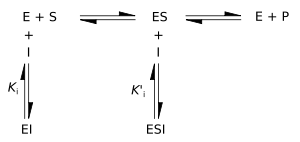 Kinetic scheme for reversible enzyme inhibitors.