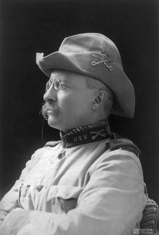 Image:Theodore Rooseveltnewtry.jpg