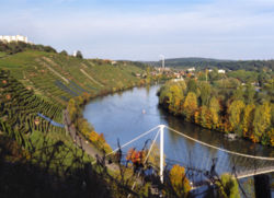 Vineyards on the Neckar river in the M�hlhausen area of Stuttgart