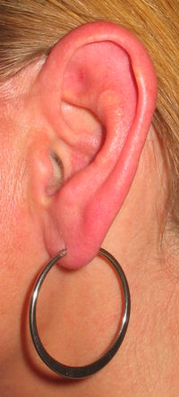 Ear with earring, photo by Dbenbenn