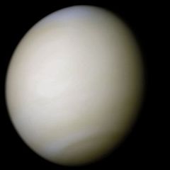 Venus