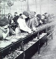 Ford Assembly Line, 1913