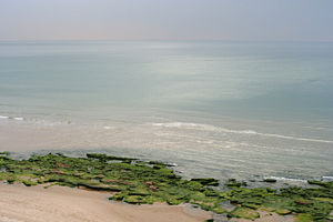 Mediterranean coast in Israel.