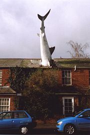 The Headington Shark