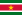 Flag of Suriname