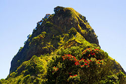 Life on a rocky peak in the Waitakere Ranges