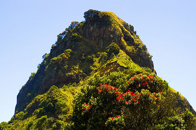 Image:Waitakere Piha n.jpg