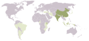 Percentage of total tea production in 2003 �����Tea not grown in significant quantities ����� Less than 5%. ����� From 5 to 10%. ����� More than 10%