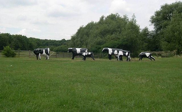 Image:ConcreteCows.jpg