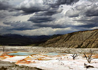 Upper Terraces of Mammoth Hot Springs