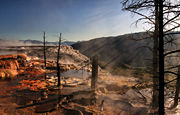 Steam Crepuscular rays at Mammoth Hot Springs