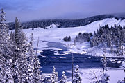 Winter scene in Yellowstone