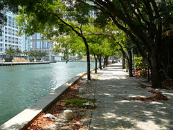 Miami River